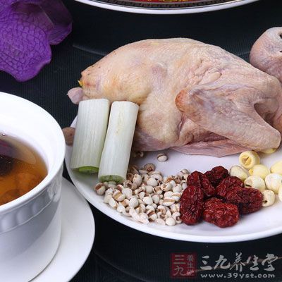 薏仁鸽子汤 薏仁鸽子汤