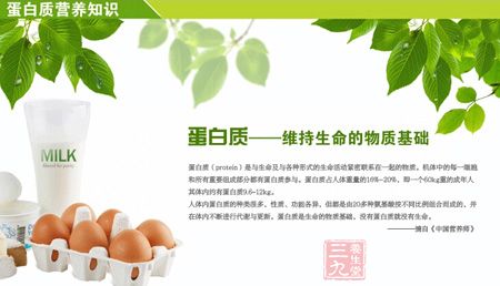 蛋白质——维持生命的物质基础 蛋白质——维持生命的物质基础