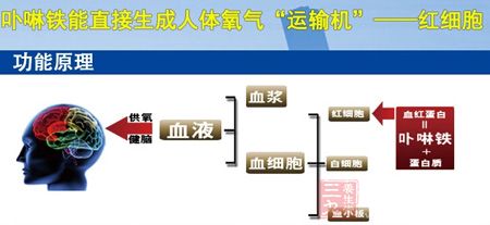 功能原理 功能原理
