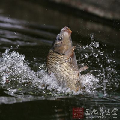 诱饵要数量.钓饵取自然