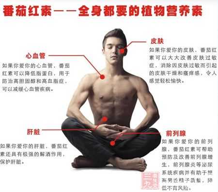 番茄红素——全身都要的植物营养素 番茄红素——全身都要的植物营养素