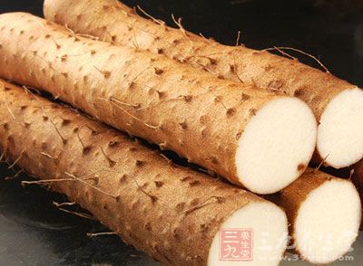 山药是营养与药用价值兼备的蔬菜