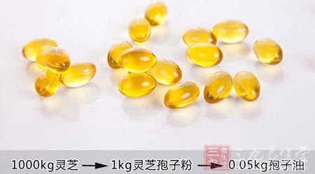 1000kg灵芝——1kg灵芝孢子——0.05kg孢子油