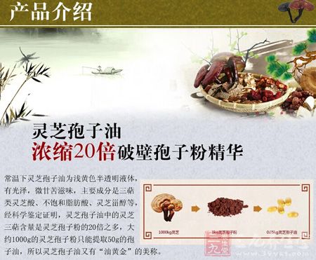 灵芝孢子油浓缩20倍破壁孢子粉精华