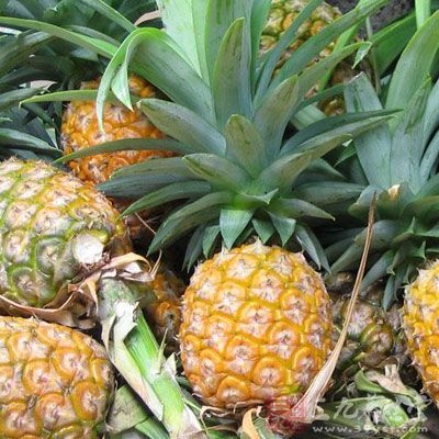 吃菠萝前要用淡盐水浸泡 吃菠萝前要用淡盐水浸泡