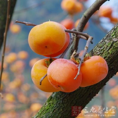 空腹或吃蛋白質(zhì)食物時，應(yīng)避免吃酸澀水果，如柿子、山楂、香蕉等