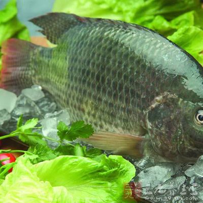 魚(yú)、禽、蛋(每日0到2次)