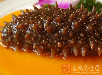 有人将海参称为“海人参” 有人将海参称为“海人参”