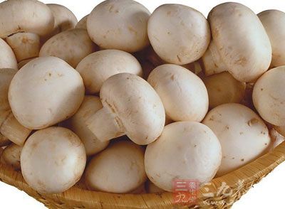 蘑菇的作用与功效 蘑菇的作用与功效