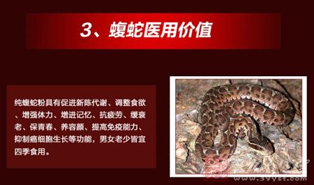 蝮蛇医用价值