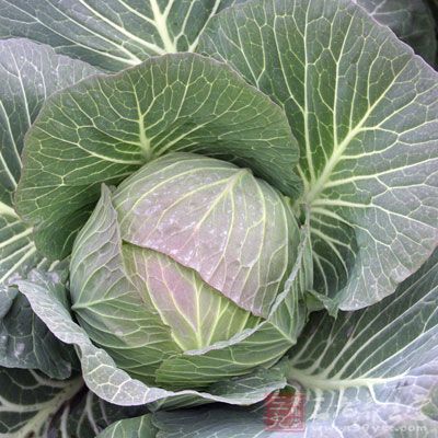 甘蓝菜嫩芽可能改善第二型糖尿病的胰岛素阻抗 甘蓝菜嫩芽可能改善第二型糖尿病的胰岛素阻抗