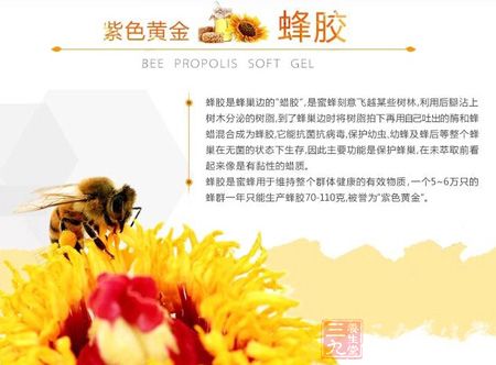 紫色黄金蜂胶 紫色黄金蜂胶