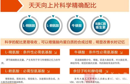 天天向上片科学精确配比 天天向上片科学精确配比