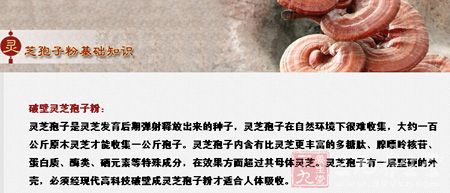 灵芝孢子粉基础知识