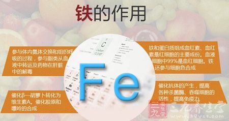 铁的作用 铁的作用