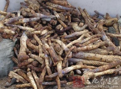 肉苁蓉的治病功效