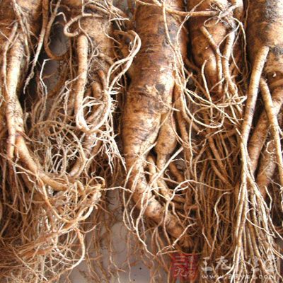 因燥热引起的咽喉干燥，一时冲动引发的吐血、鼻衄等病都忌用人参