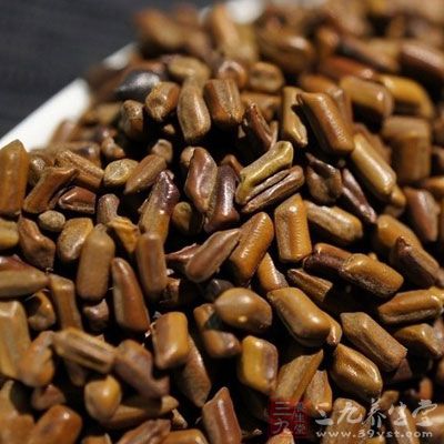 决明子的鉴别方法 决明子的鉴别方法