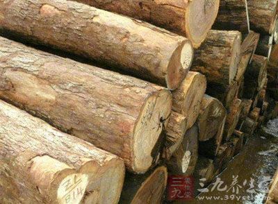 药材基源:为樟科植物楠木的树皮