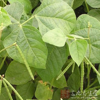 和胃;解毒。主霍乱吐泻;斑疹;疔疮;疥癣;药毒;火毒 和胃;解毒。主霍乱吐泻;斑疹;疔疮;疥癣;药毒;火毒