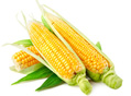 不同玉米吃出健康