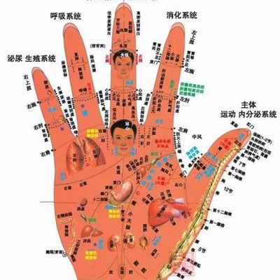 食指相对于无名指长