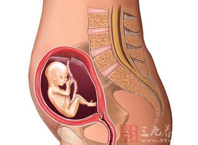 怀孕四个月男胎儿图 怀孕4个月注意事项
