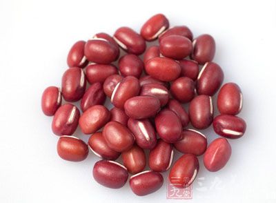 红豆的药用价值与应用_理气药_中药图典