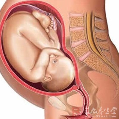 怀孕33周 33周胎儿发育状况