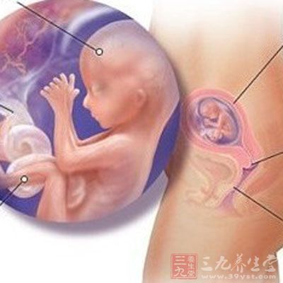 怀孕两个月胎儿能力指标