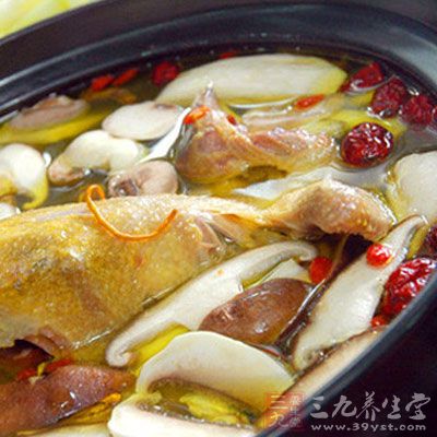 鸽子汤的功效与作用