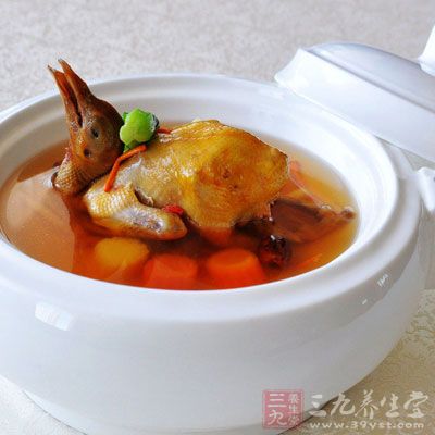 选择鸽子时候，记得，要选择那些生命力强的