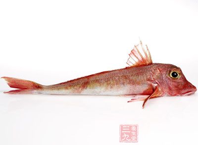 别名 鳊鱼(《日用本草》),平胸鳊(《脊椎动物分类学》),法罗鱼