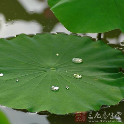 明代藥學(xué)家認(rèn)為荷葉能“澀精液”