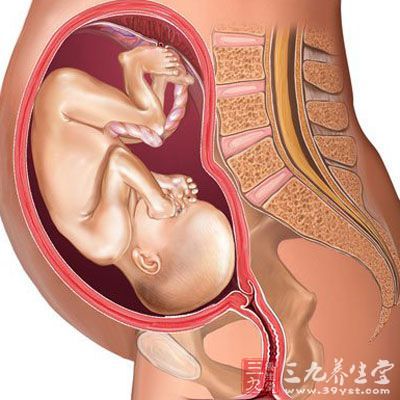 从孕20周起，胎儿的视网膜就形成了