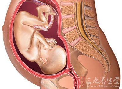 从外观上已能看出，日渐增大的胎宝宝已经使孕妈妈的肚子有了明显的沉重感