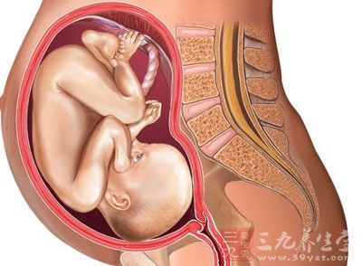 这个时候的宝宝身体还在继续长大，能够清晰地看出婴儿的轮廓了