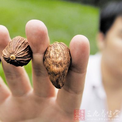 男子淘宝购买火锅调料 到手竟是罂粟壳