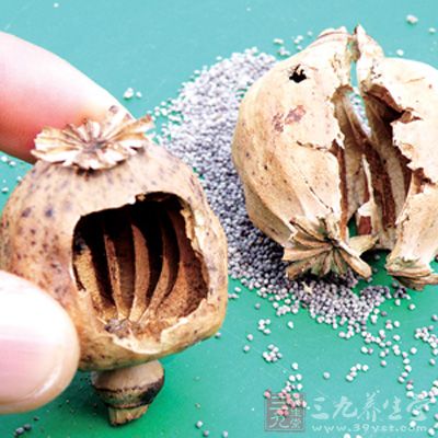 男子淘宝购买火锅调料 到手竟是罂粟壳