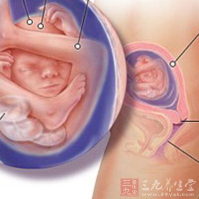 这时胎儿的肺部和消化系统已基本发育完成