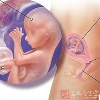 胎儿发育：本周胎儿顶臀长大约有10厘米，重约50克