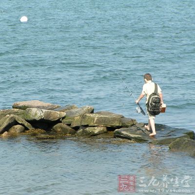 适合垂钓的人工水域包括有水库、人工湖泊、人工河、水渠及池塘等