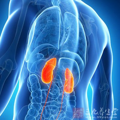 肾脏表面看起来静止不动，但里面蕴藏着生机，肾精充盛则人筋骨强健，精力充沛