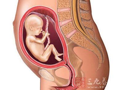 孕20周，胎儿从头到脚长约有25cm，重约320g