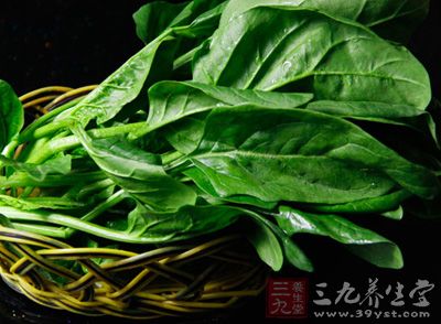 菠菜又叫波斯菜、赤根菜,一般认为起源于波斯或邻近的西南亚地区 菠菜又叫波斯菜、赤根菜,一般认为起源于波斯或邻近的西南亚地区