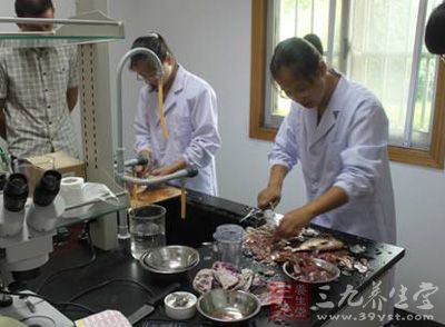 福建省海洋渔业厅部署捕捞水产品安全监测