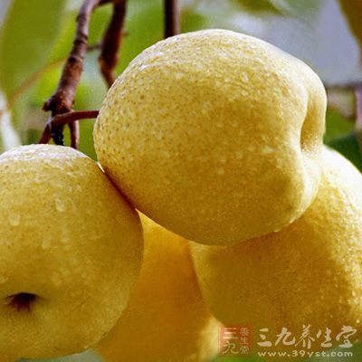 梨是冬春水果中的首选,它含苹果酸、柠檬酸、葡萄糖、果糖、钙、磷、铁 梨是冬春水果中的首选,它含苹果酸、柠檬酸、葡萄糖、果糖、钙、磷、铁