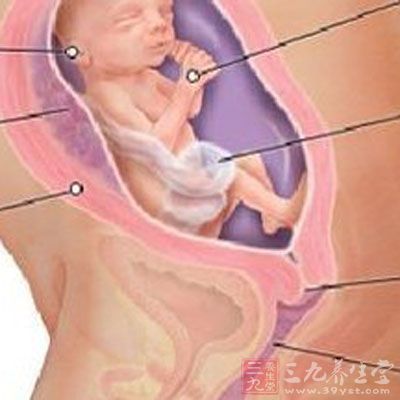 科学证实胎儿更喜欢低沉的声音