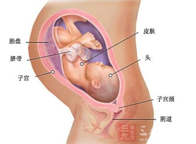 胎儿身长约有30cm，重约630g