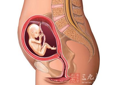 胎儿从头到臀长约有16cm长，重约110g